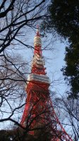 DSC00316.JPG